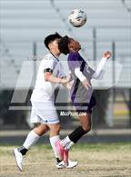 Photo from the gallery "Pueblo vs Rincon/University (Ismael Arce Invitational)"