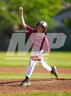 Photo from the gallery "Monterey Trail @ Laguna Creek"