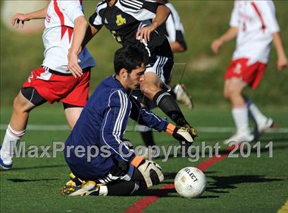 Thumbnail 2 in Amity @ Fairfield Prep photogallery.
