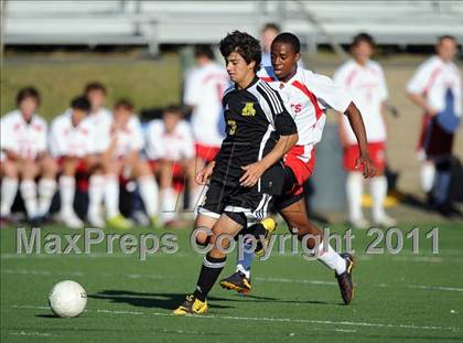 Thumbnail 2 in Amity @ Fairfield Prep photogallery.