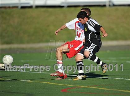 Thumbnail 1 in Amity @ Fairfield Prep photogallery.
