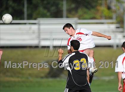 Thumbnail 2 in Amity @ Fairfield Prep photogallery.