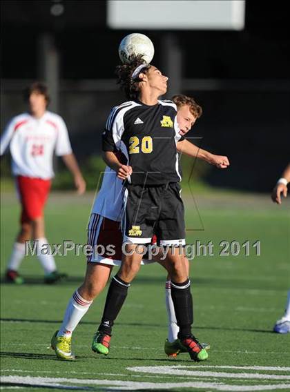 Thumbnail 1 in Amity @ Fairfield Prep photogallery.