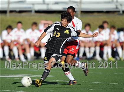 Thumbnail 3 in Amity @ Fairfield Prep photogallery.