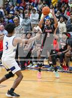 Photo from the gallery "Theodore @ Baker"