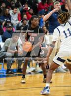 Photo from the gallery "Theodore @ Baker"