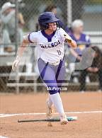 Photo from the gallery "Thousand Oaks @ Valencia"