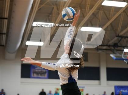 Thumbnail 1 in Tarkington @ Anderson-Shiro photogallery.