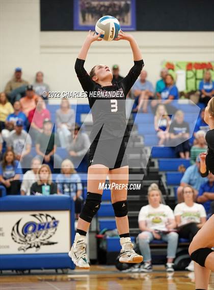 Thumbnail 2 in Tarkington @ Anderson-Shiro photogallery.