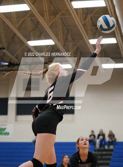 Thumbnail 1 in Tarkington @ Anderson-Shiro photogallery.