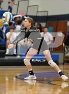 Photo from the gallery "Tarkington @ Anderson-Shiro"