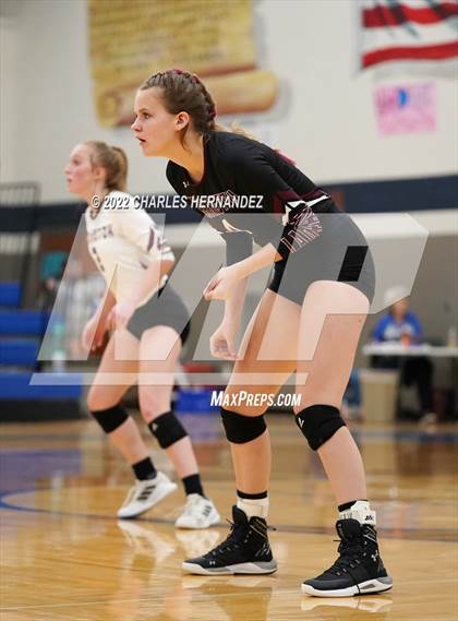 Thumbnail 1 in Tarkington @ Anderson-Shiro photogallery.