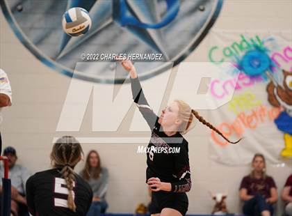 Thumbnail 1 in Tarkington @ Anderson-Shiro photogallery.