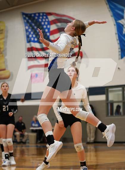 Thumbnail 1 in Tarkington @ Anderson-Shiro photogallery.