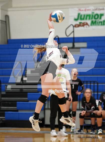 Thumbnail 1 in Tarkington @ Anderson-Shiro photogallery.