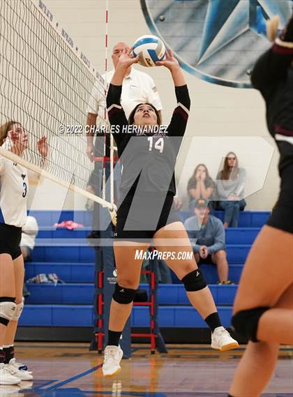 Thumbnail 1 in Tarkington @ Anderson-Shiro photogallery.