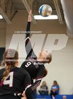 Photo from the gallery "Tarkington @ Anderson-Shiro"