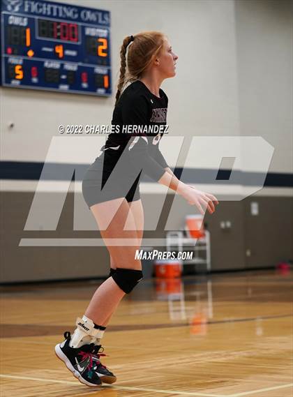 Thumbnail 1 in Tarkington @ Anderson-Shiro photogallery.