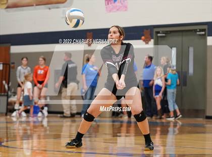 Thumbnail 1 in Tarkington @ Anderson-Shiro photogallery.
