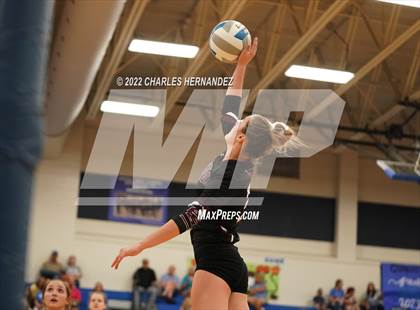 Thumbnail 1 in Tarkington @ Anderson-Shiro photogallery.