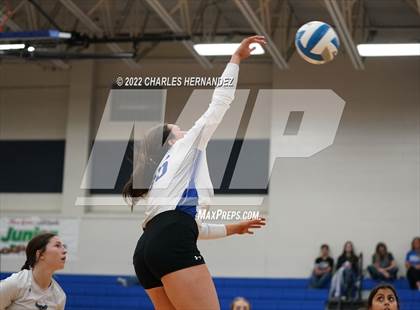 Thumbnail 1 in Tarkington @ Anderson-Shiro photogallery.