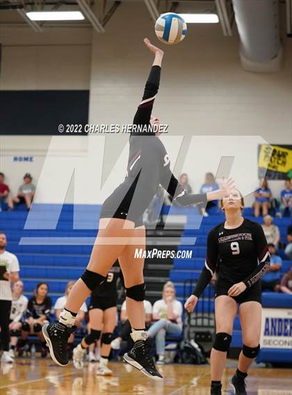 Thumbnail 1 in Tarkington @ Anderson-Shiro photogallery.