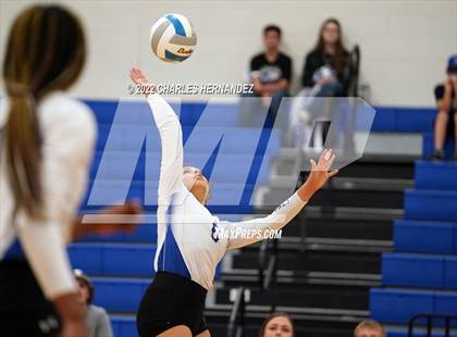 Thumbnail 1 in Tarkington @ Anderson-Shiro photogallery.