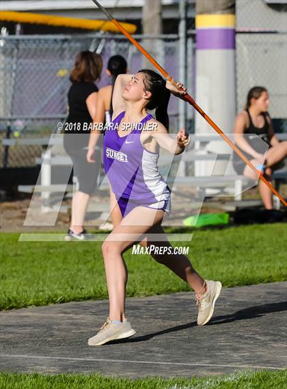 Thumbnail 1 in Tigard @ Sunset (Javelin) photogallery.