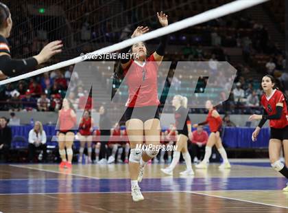 Thumbnail 3 in Sterling vs. Gunnison (CHSAA 3A First Round) photogallery.