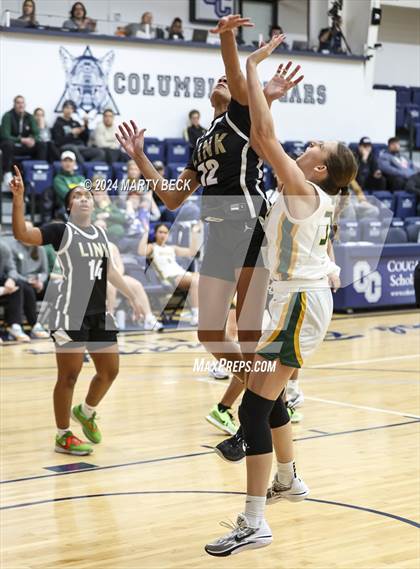 Thumbnail 1 in Rock Bridge vs Link (Sophie Cunningham Classic) photogallery.