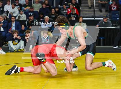 Thumbnail 2 in NYSPHSAA Wrestling Championships - Finals 131 lbs - 152 lbs photogallery.