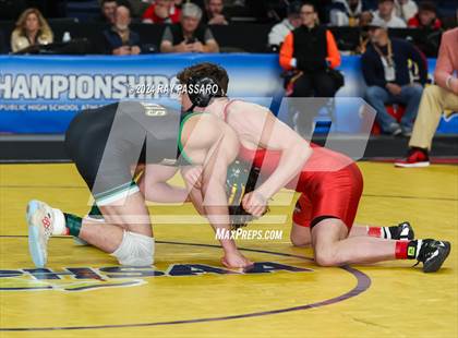 Thumbnail 1 in NYSPHSAA Wrestling Championships - Finals 131 lbs - 152 lbs photogallery.