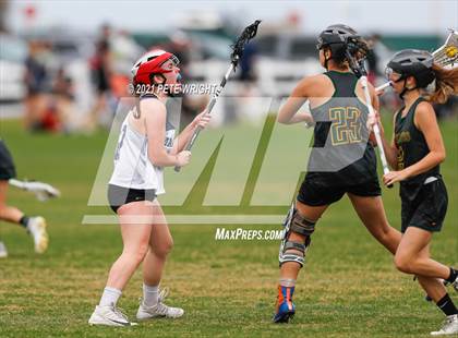 Thumbnail 3 in Manatee vs Cypress Creek photogallery.