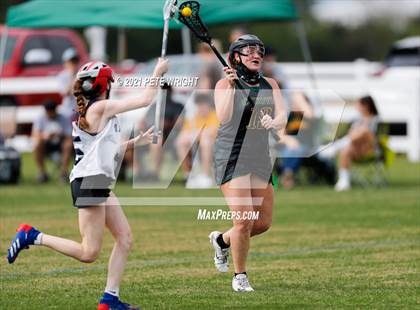 Thumbnail 1 in Manatee vs Cypress Creek photogallery.