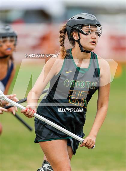 Thumbnail 2 in Manatee vs Cypress Creek photogallery.