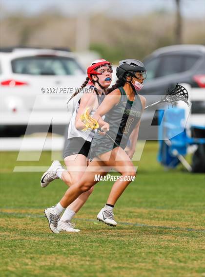 Thumbnail 2 in Manatee vs Cypress Creek photogallery.