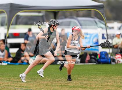 Thumbnail 3 in Manatee vs Cypress Creek photogallery.