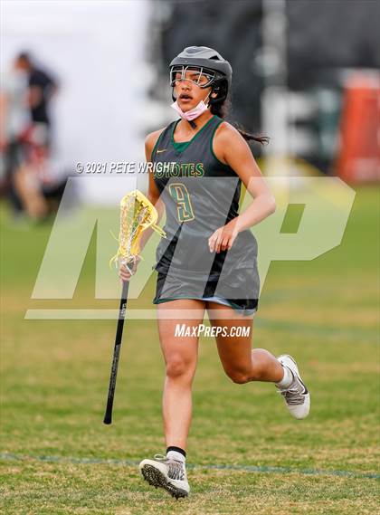 Thumbnail 2 in Manatee vs Cypress Creek photogallery.