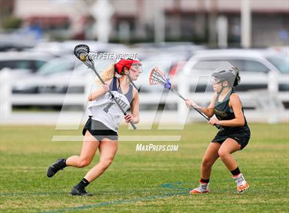 Thumbnail 2 in Manatee vs Cypress Creek photogallery.