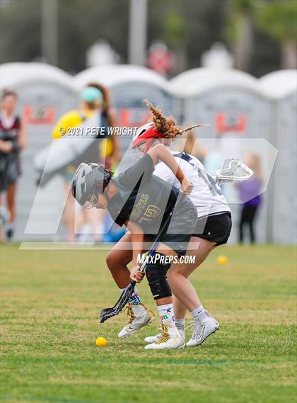 Thumbnail 2 in Manatee vs Cypress Creek photogallery.