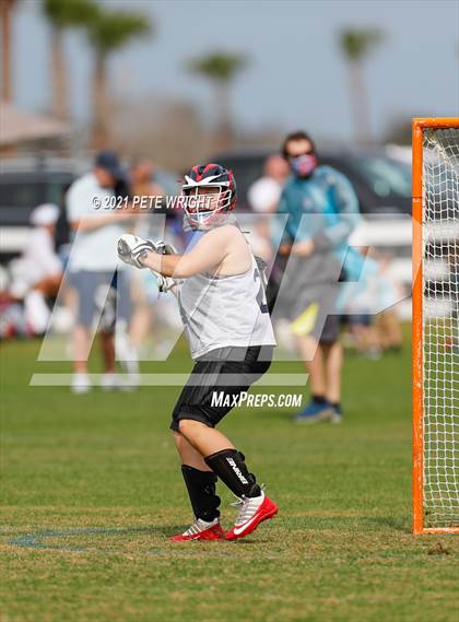 Thumbnail 3 in Manatee vs Cypress Creek photogallery.