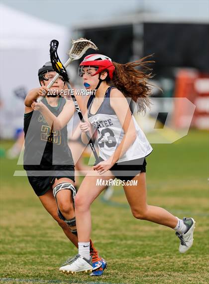 Thumbnail 3 in Manatee vs Cypress Creek photogallery.