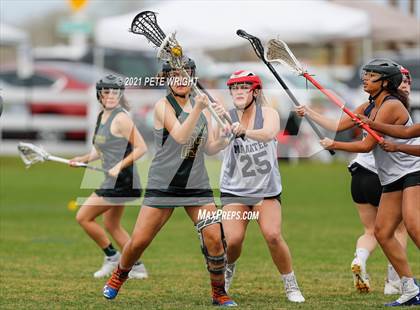 Thumbnail 2 in Manatee vs Cypress Creek photogallery.