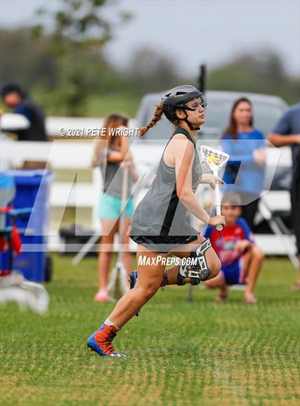Thumbnail 3 in Manatee vs Cypress Creek photogallery.