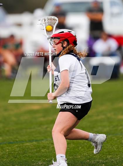 Thumbnail 2 in Manatee vs Cypress Creek photogallery.