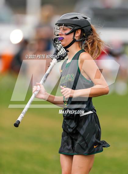 Thumbnail 1 in Manatee vs Cypress Creek photogallery.