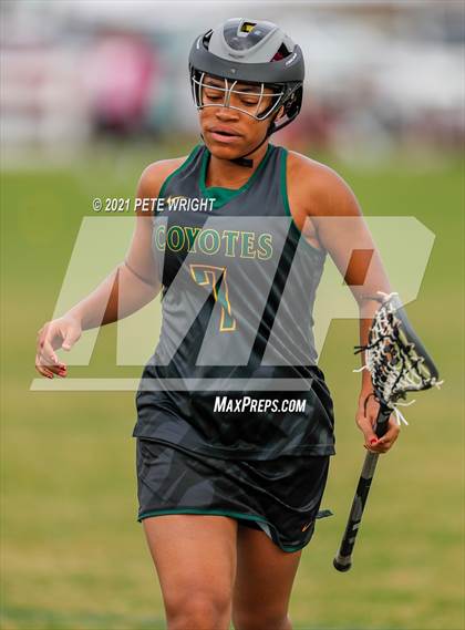 Thumbnail 3 in Manatee vs Cypress Creek photogallery.