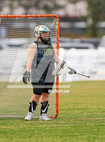 Thumbnail 3 in Manatee vs Cypress Creek photogallery.