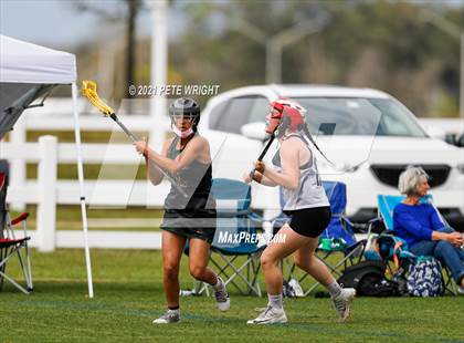 Thumbnail 3 in Manatee vs Cypress Creek photogallery.