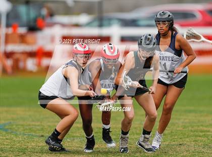Thumbnail 3 in Manatee vs Cypress Creek photogallery.
